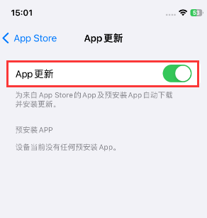 鄂州苹果15维修中心如何让iPhone15APP自动更新